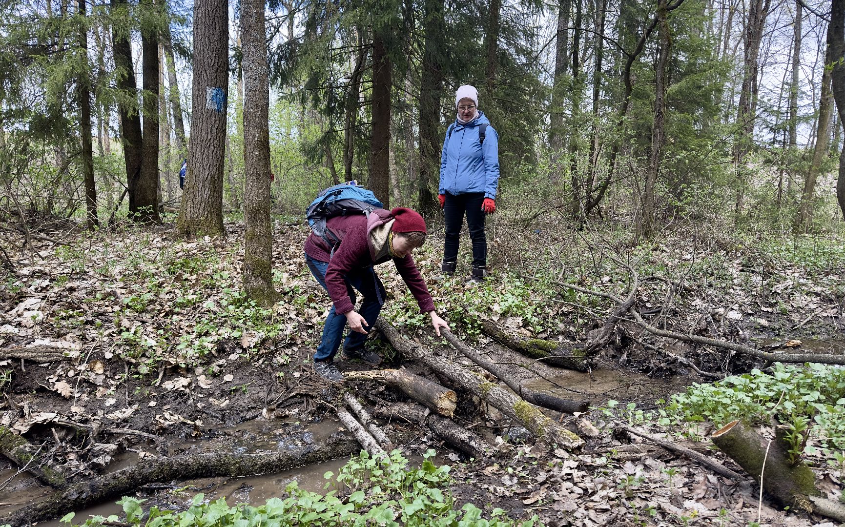 сергиево-посадский городской округ, дорога к лавре, Уборка, субботник, религия,