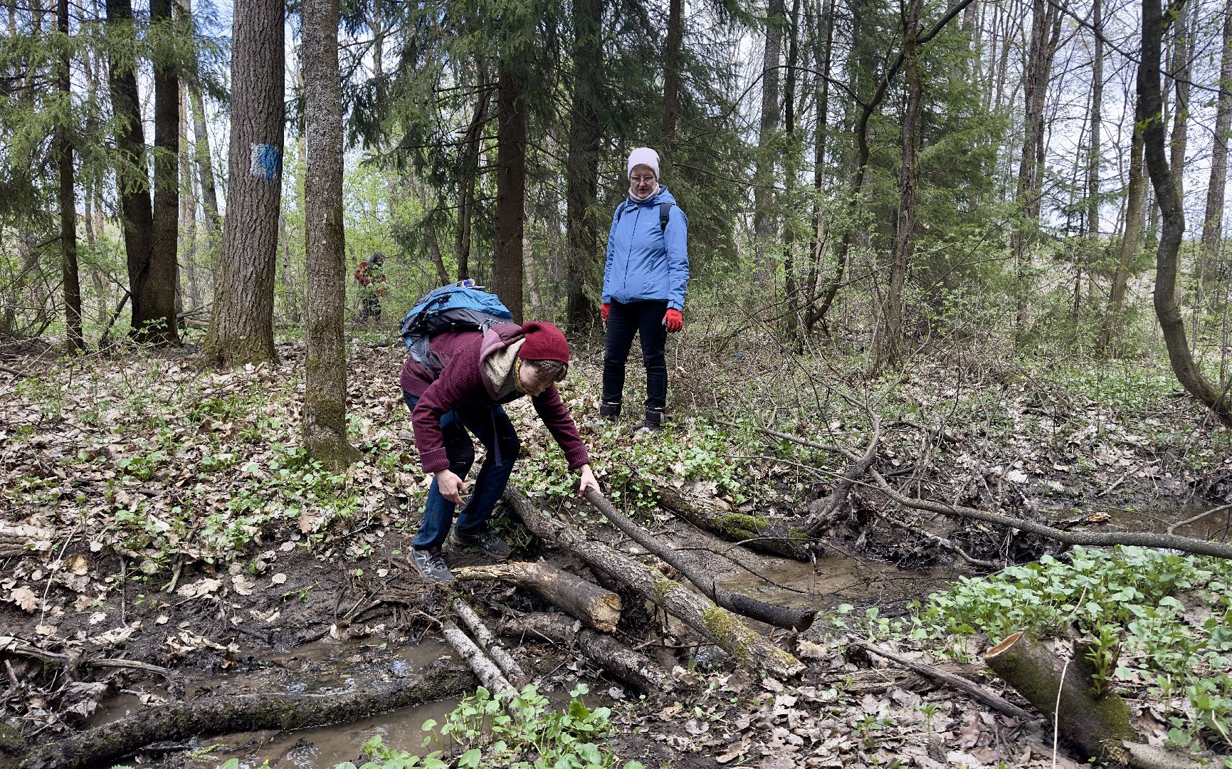 сергиево-посадский городской округ, дорога к лавре, Уборка, субботник, религия,