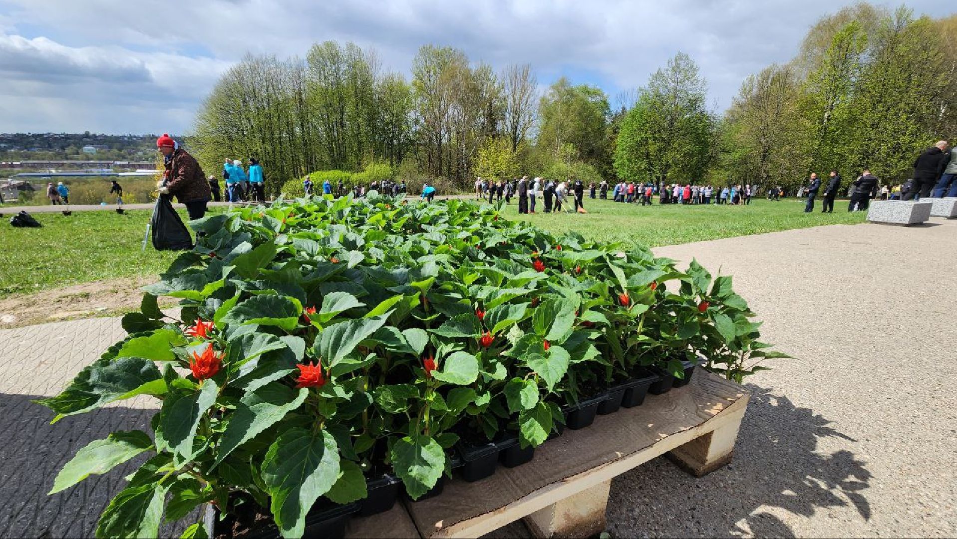 Дмитров, Всероссийский субботник, Акция Мы за чистоту, Перемиловская высота,