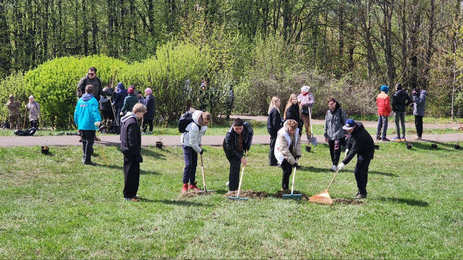 Дмитров, Всероссийский субботник, Акция Мы за чистоту, Перемиловская высота,