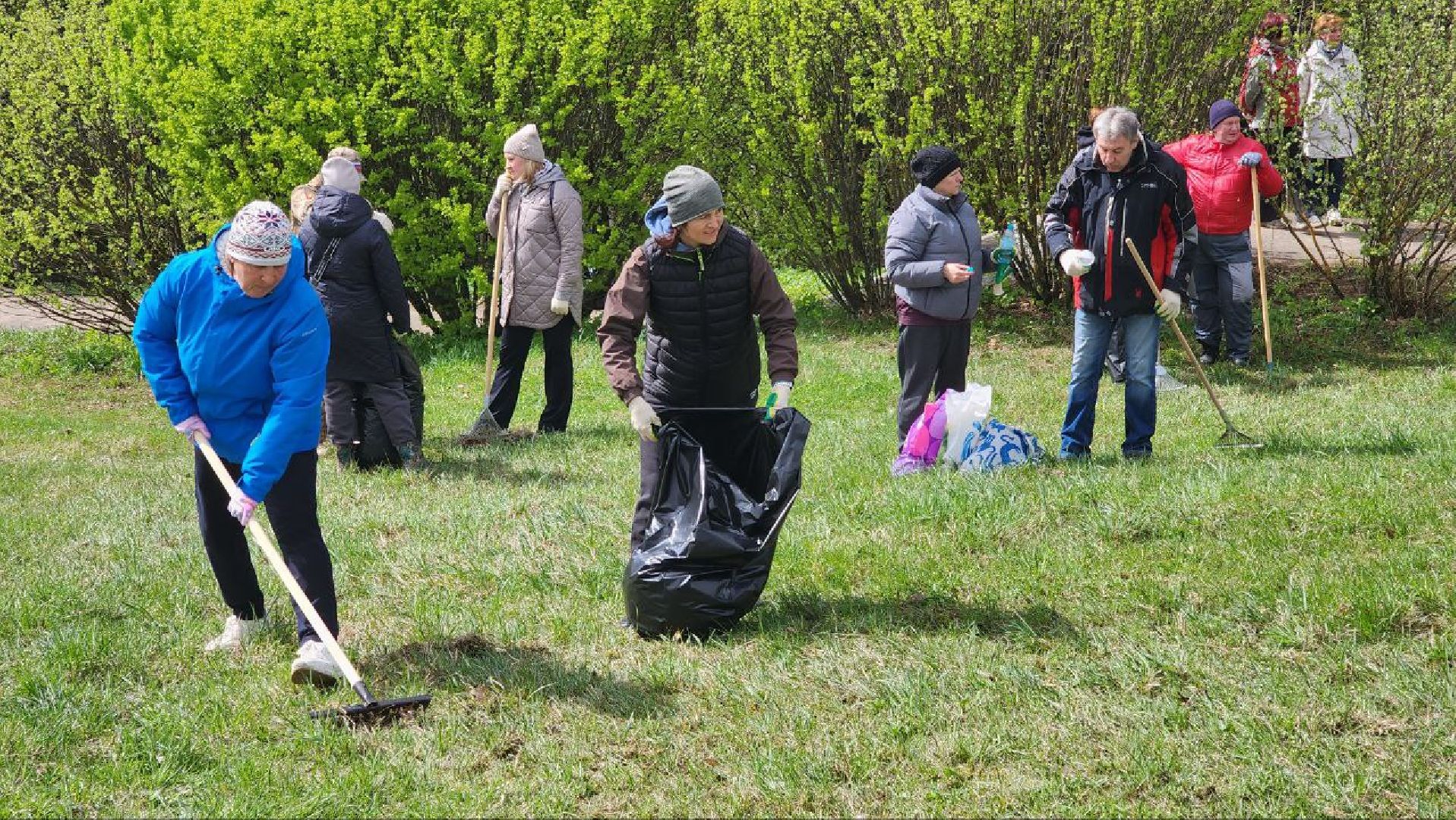 Дмитров, Всероссийский субботник, Акция Мы за чистоту, Перемиловская высота,