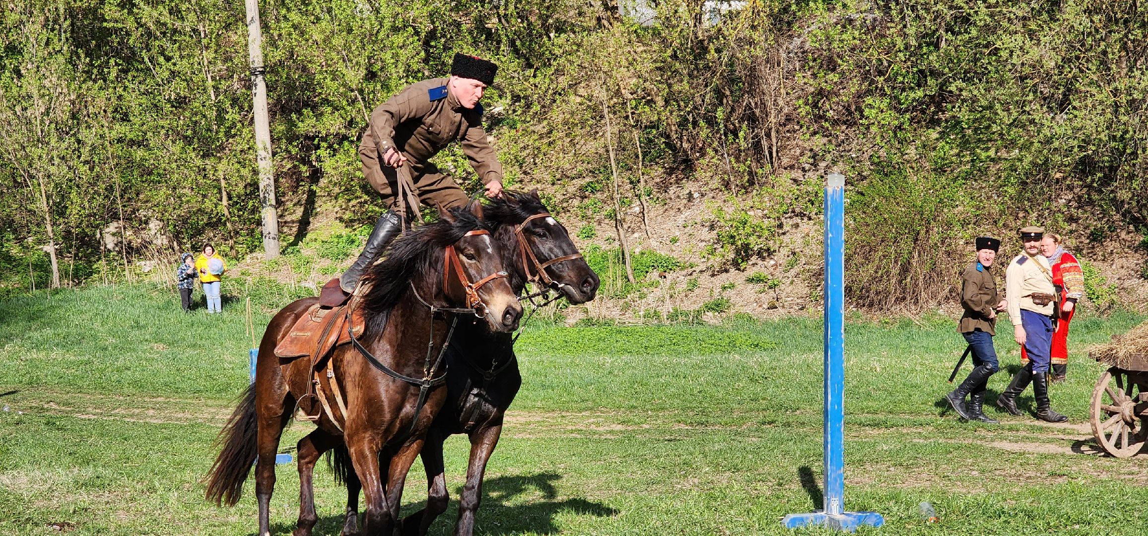 Химки, конный спорт, история,