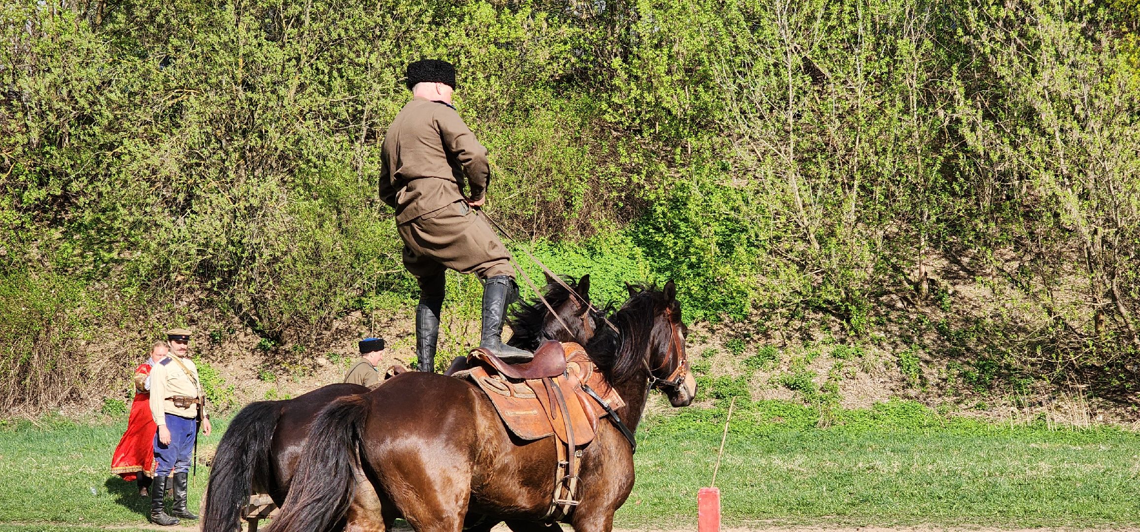 Химки, конный спорт, история,