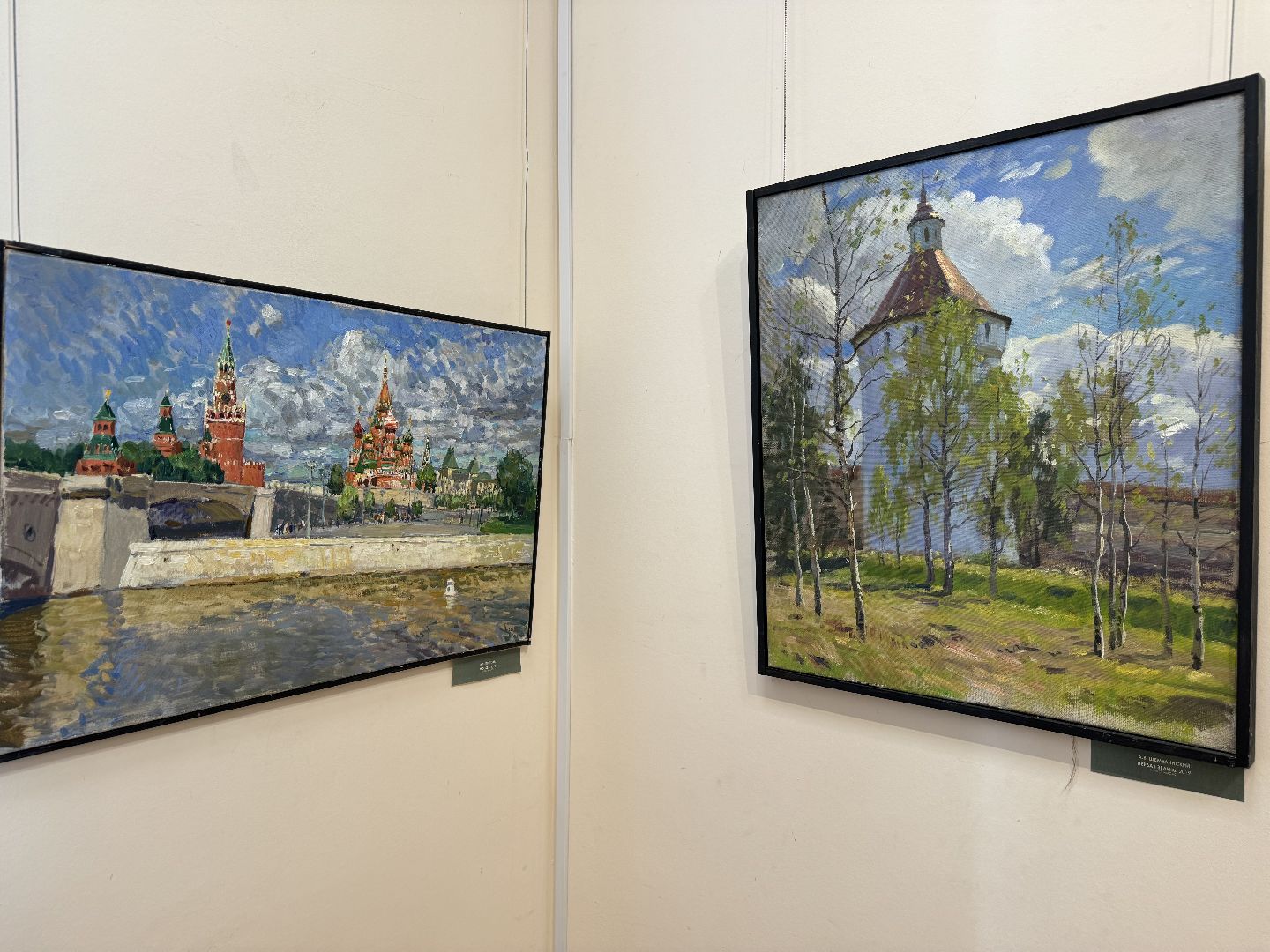 выставка картин , сергей андрияки , художники россии, ленинский городской округ,