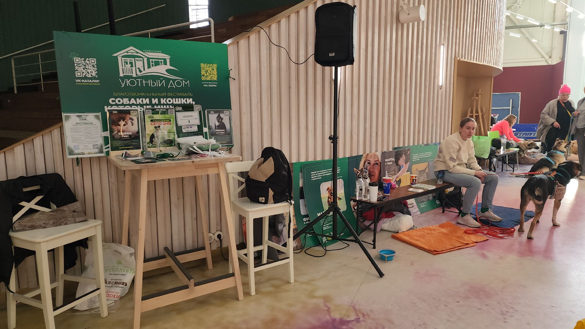 пушкино, бездомные животные, пристройство,кошки, собаки, ветеринарная клиника, лекции,общественное пространство,