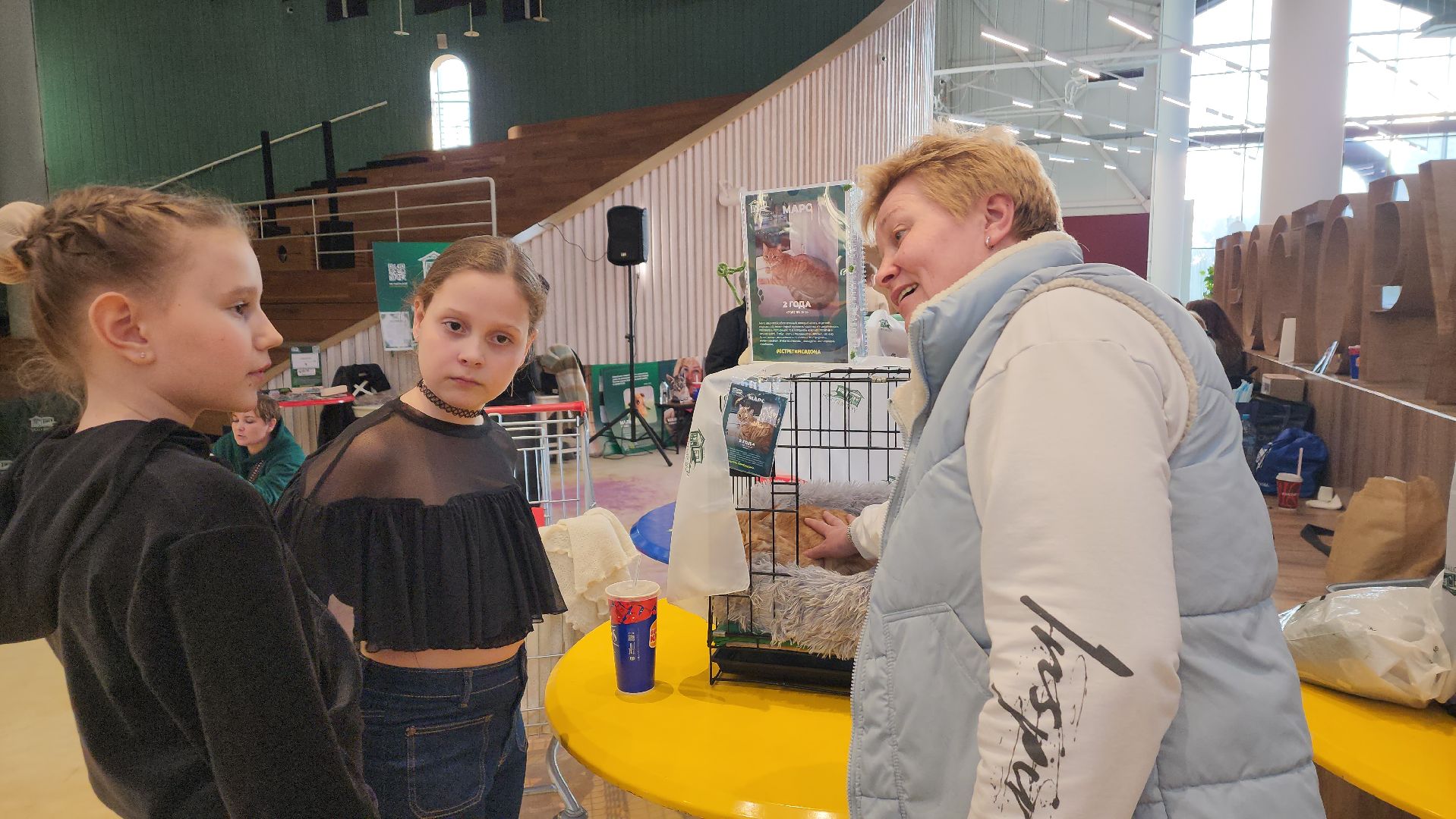 пушкино, бездомные животные, пристройство,кошки, собаки, ветеринарная клиника, лекции,общественное пространство,