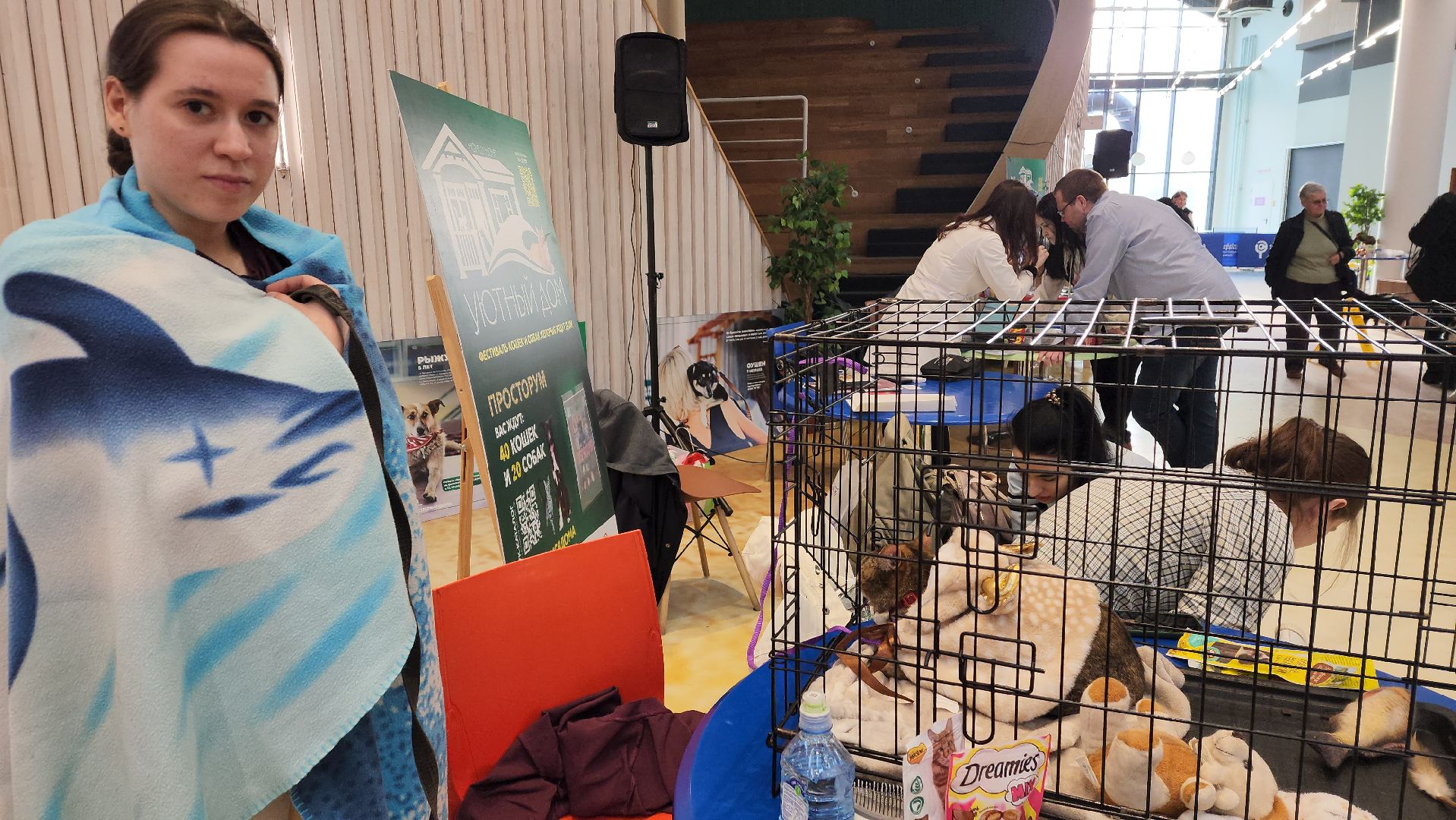 пушкино, бездомные животные, пристройство,кошки, собаки, ветеринарная клиника, лекции,общественное пространство,