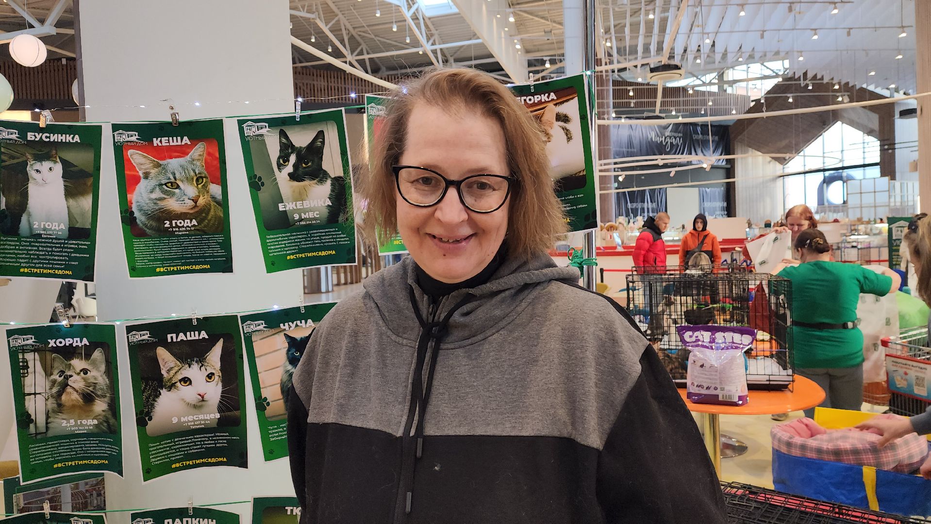 пушкино, бездомные животные, пристройство,кошки, собаки, ветеринарная клиника, лекции,общественное пространство,