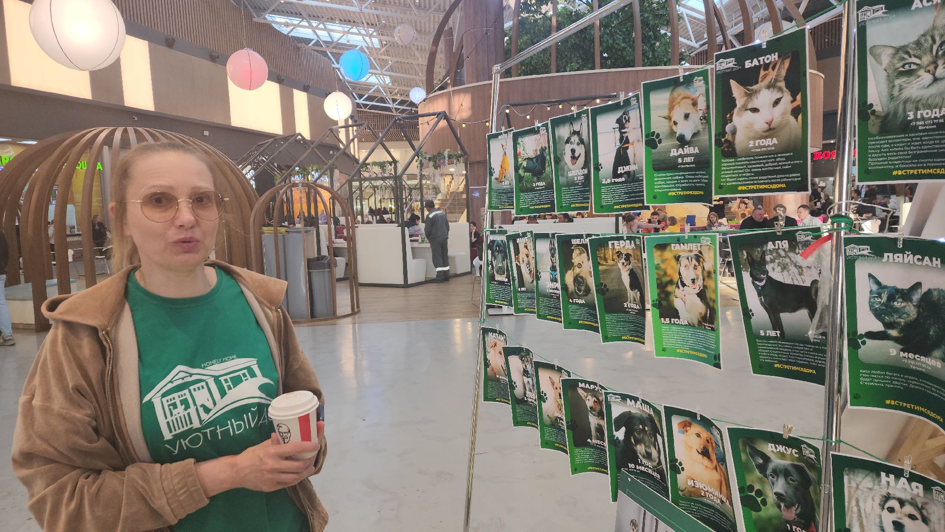 пушкино, бездомные животные, пристройство,кошки, собаки, ветеринарная клиника, лекции,общественное пространство,