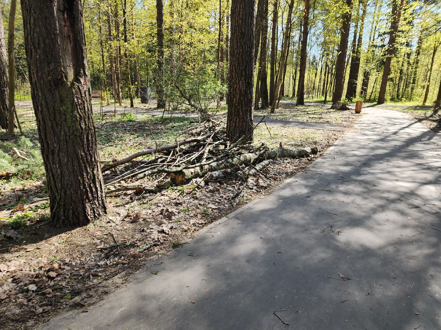 Черноголовка, Жкх, Субботник,