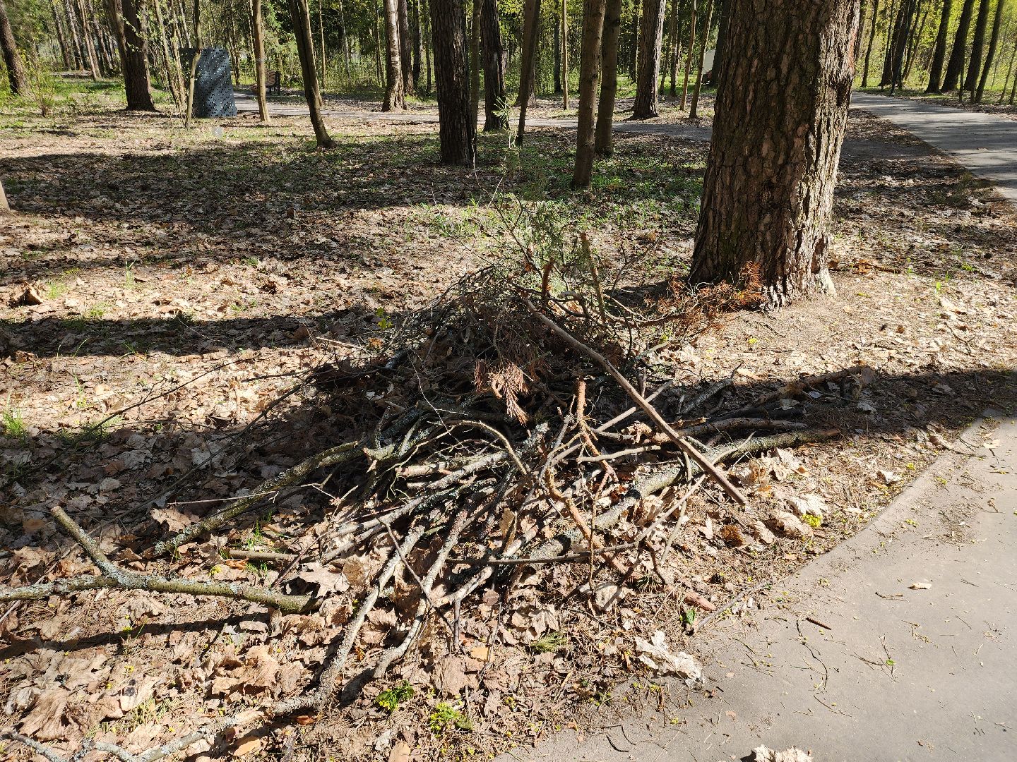 Черноголовка, Жкх, Субботник,