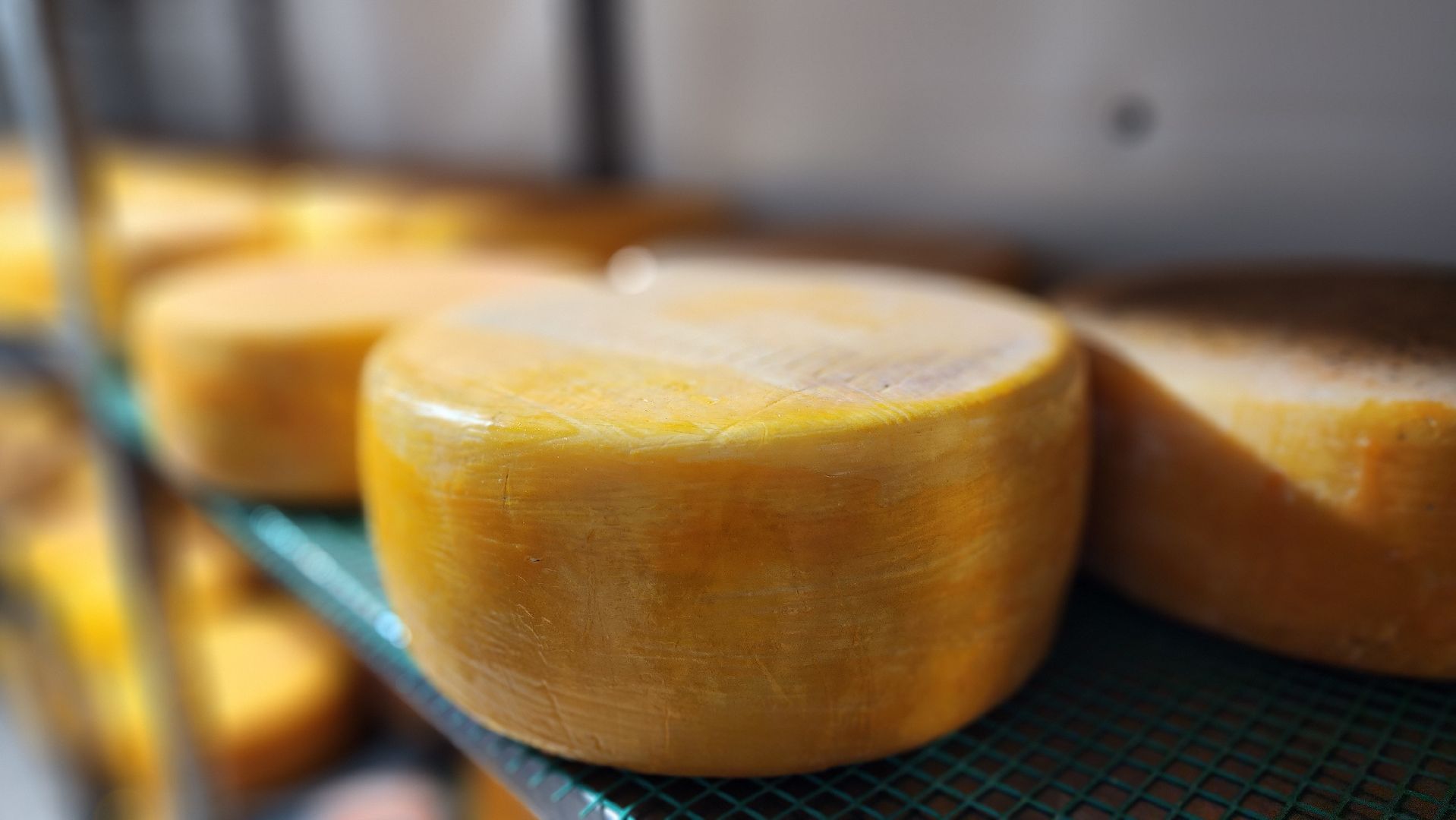 руза, эко-туризм, эко-ферма, марьино, рузский округ, предприниматели подмосковья, кфх,