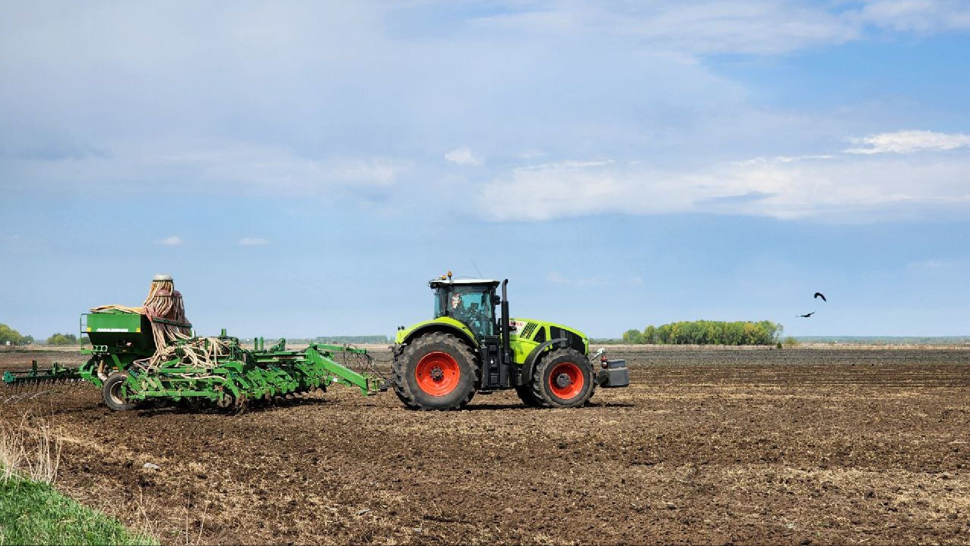 Луховицы, сельское хозяйство, посевная 2025,