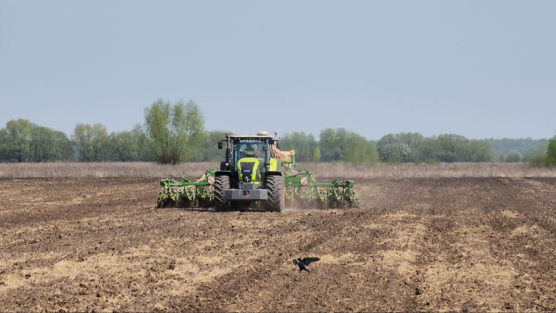 Луховицы, сельское хозяйство, посевная 2025,