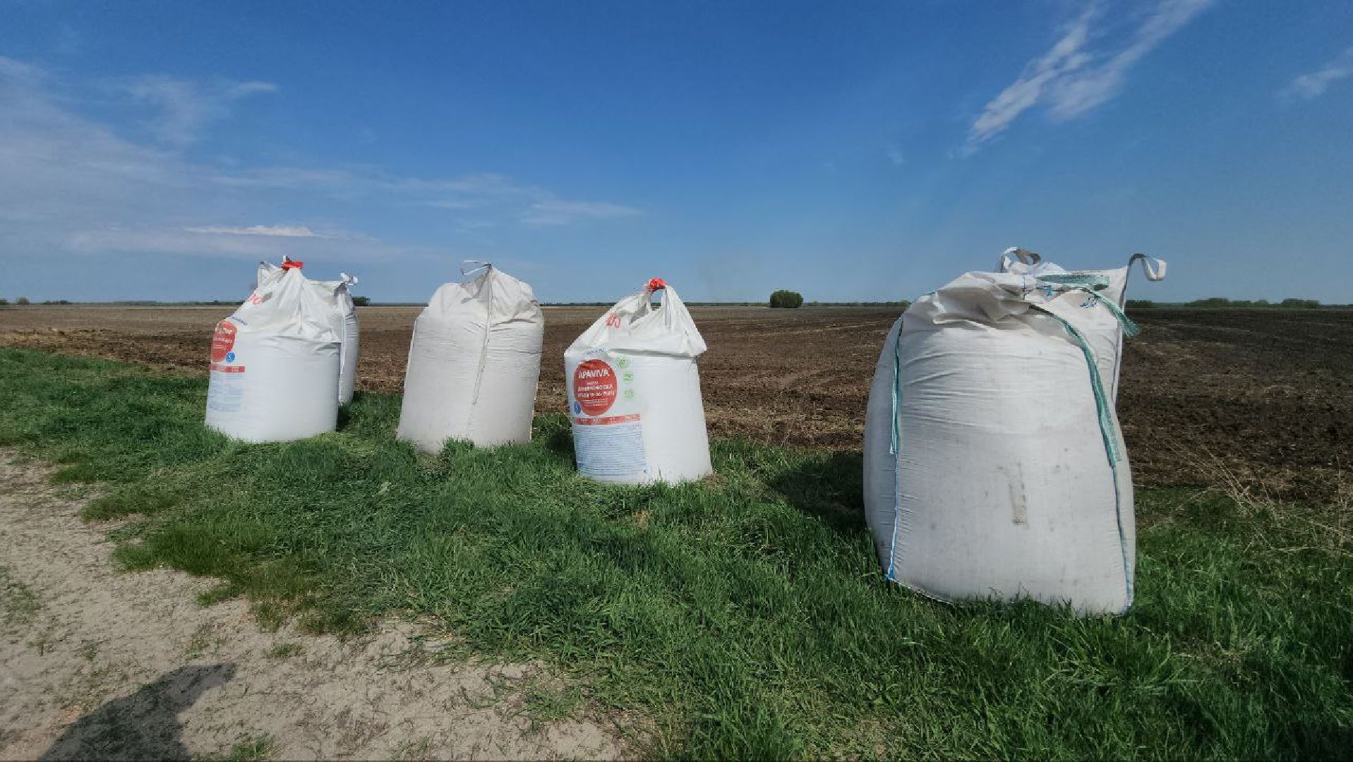 Луховицы, сельское хозяйство, посевная 2025,