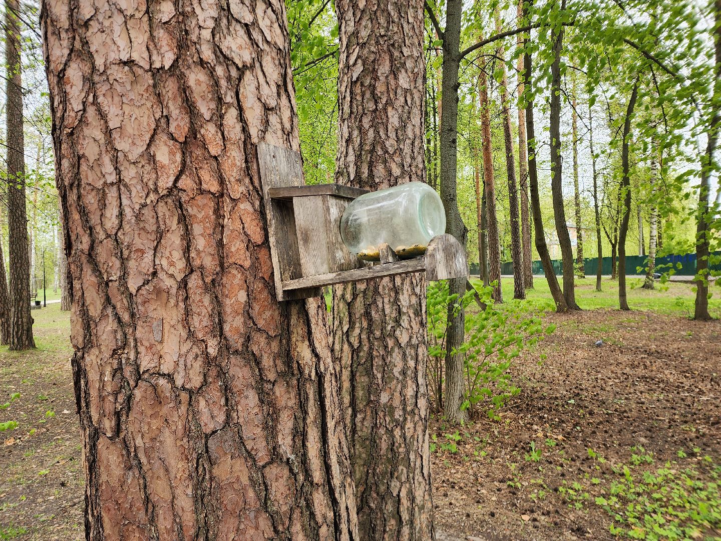шатурский парк, шатура, подготовка к весенне-летнему сезону, благоустройство города,