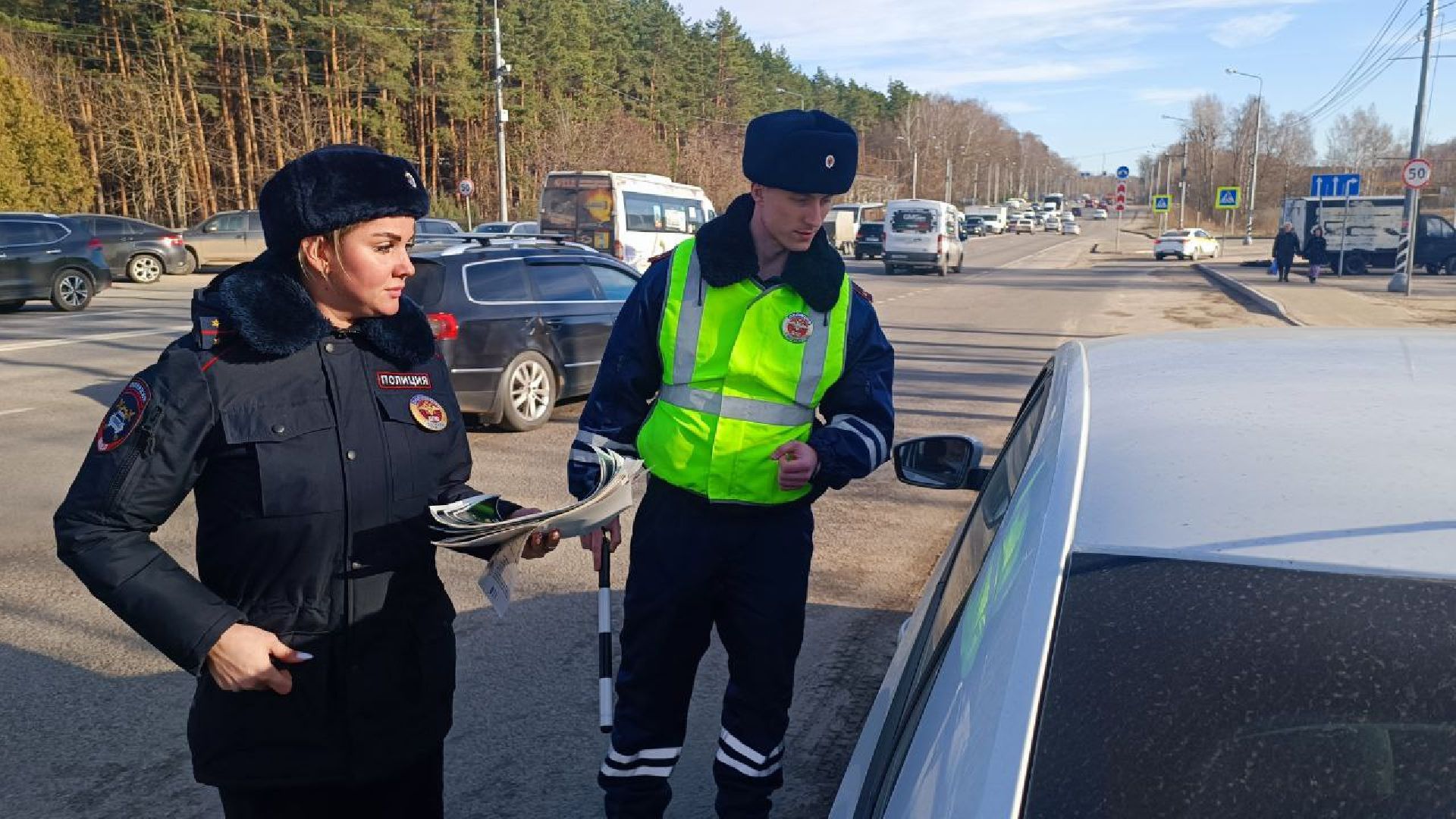 Госавтоинспеция, Домодедово, безопасность