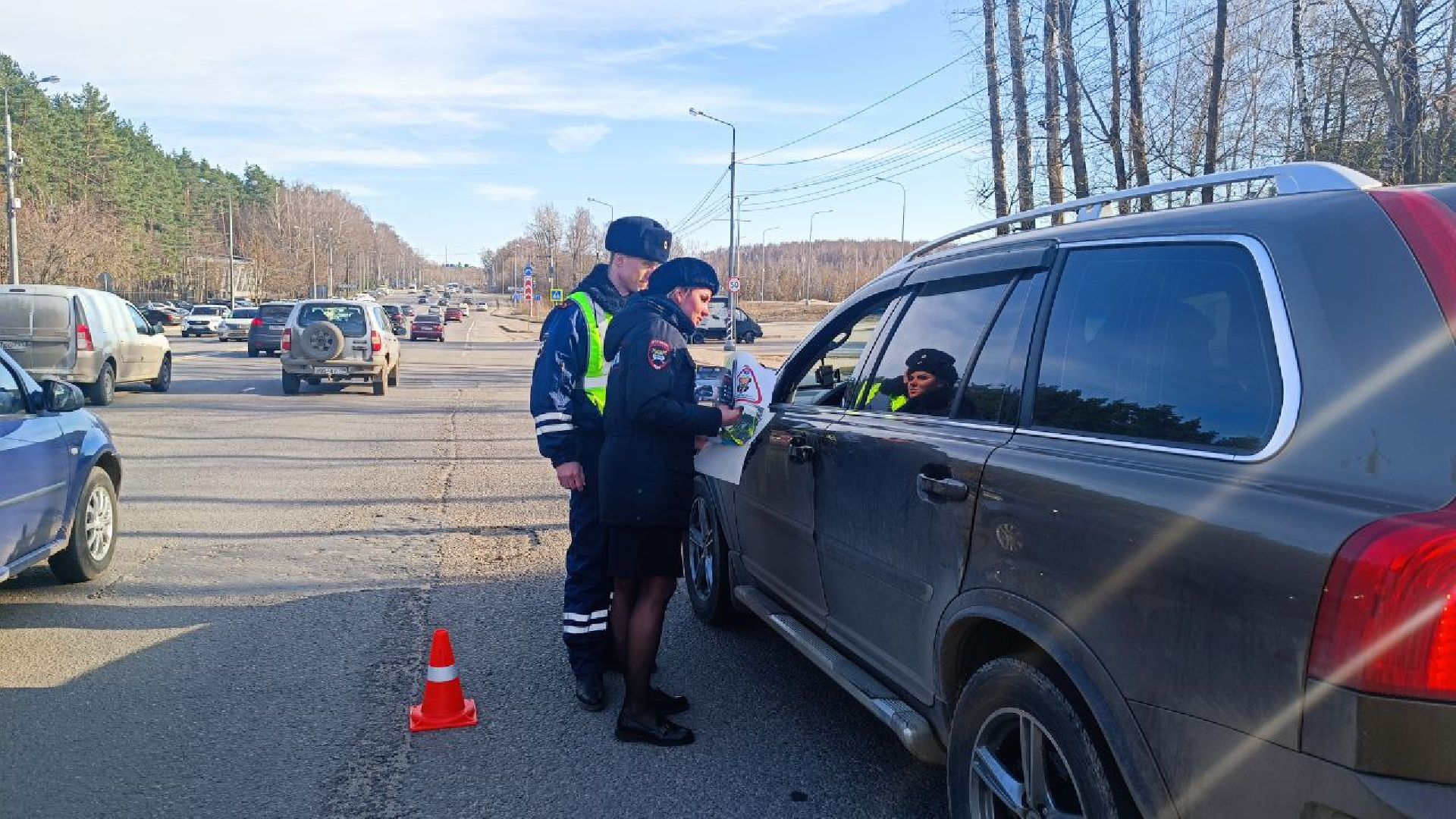 Госавтоинспеция, Домодедово, безопасность