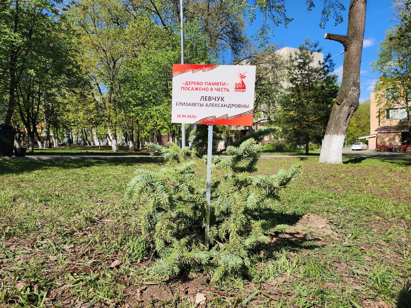 раменское, общество, аллея славы раменской больницы,
