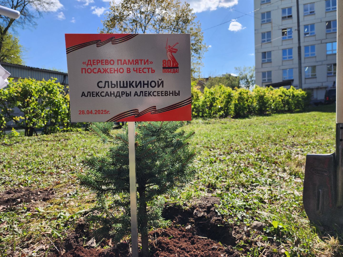 раменское, общество, аллея славы раменской больницы,