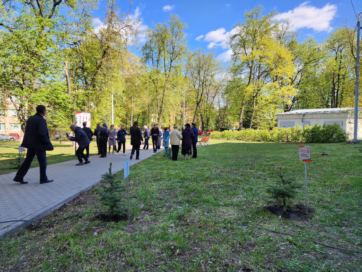 раменское, общество, аллея славы раменской больницы,