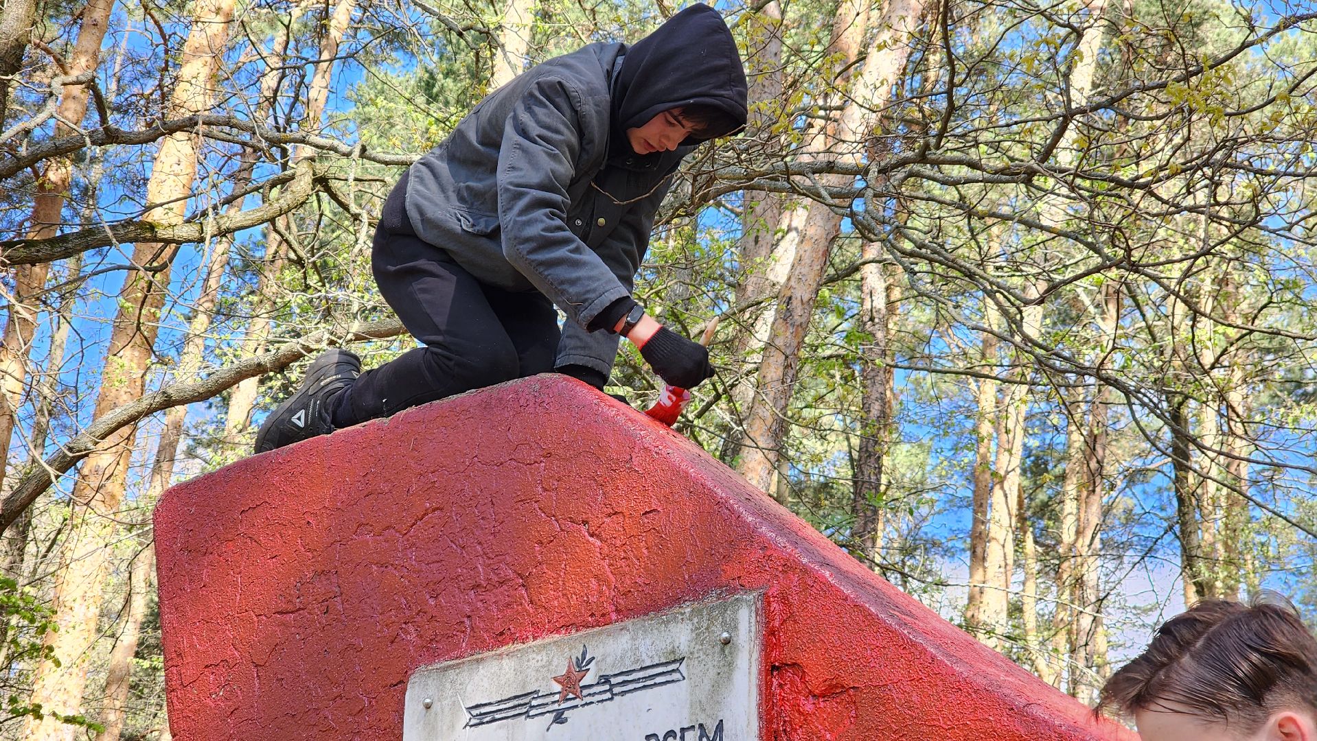ступино, день победы, волонтеры, памятники вов,