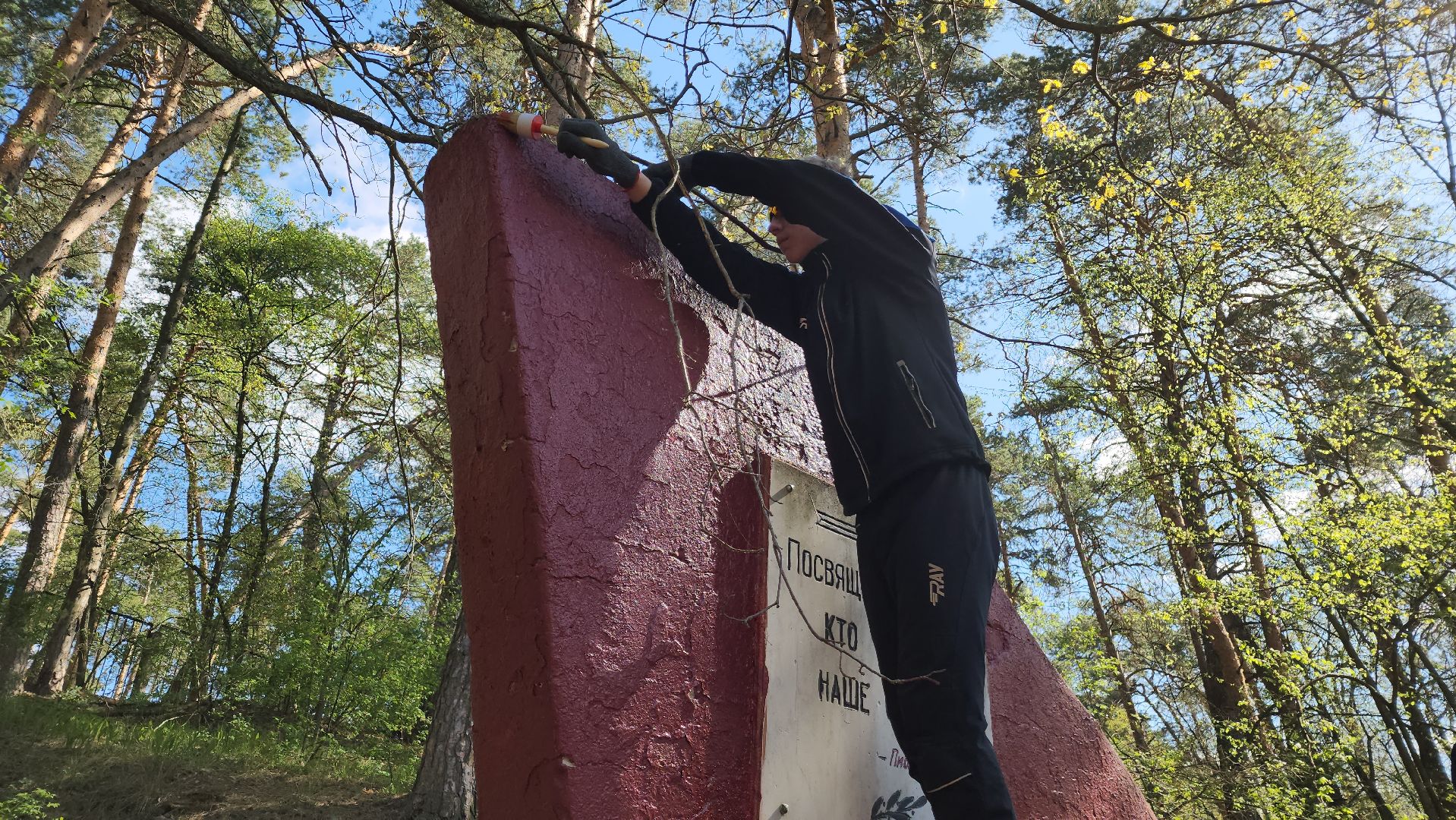ступино, день победы, волонтеры, памятники вов,