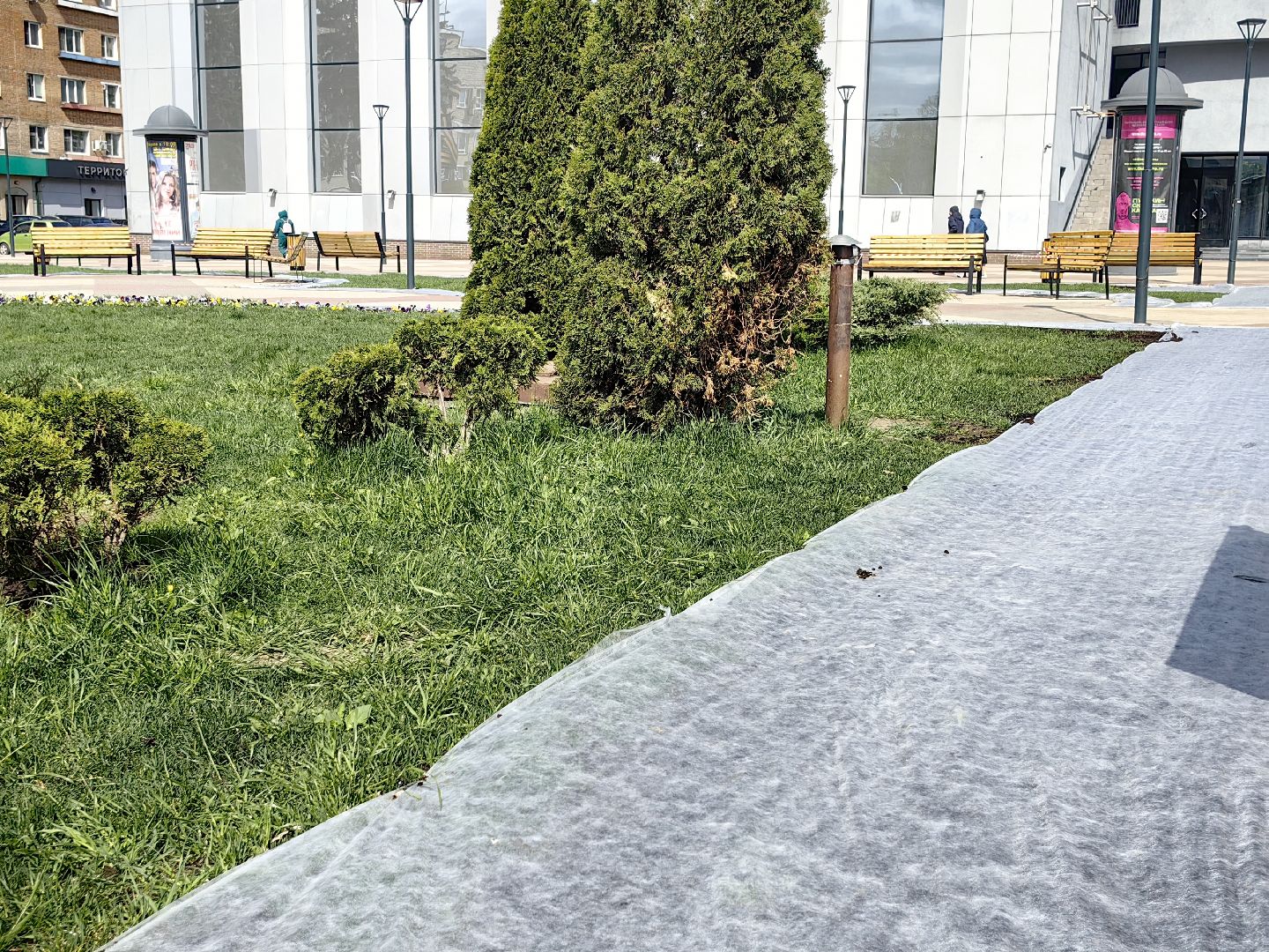 фонтаны, сезон, цветение,  техническое состояние,