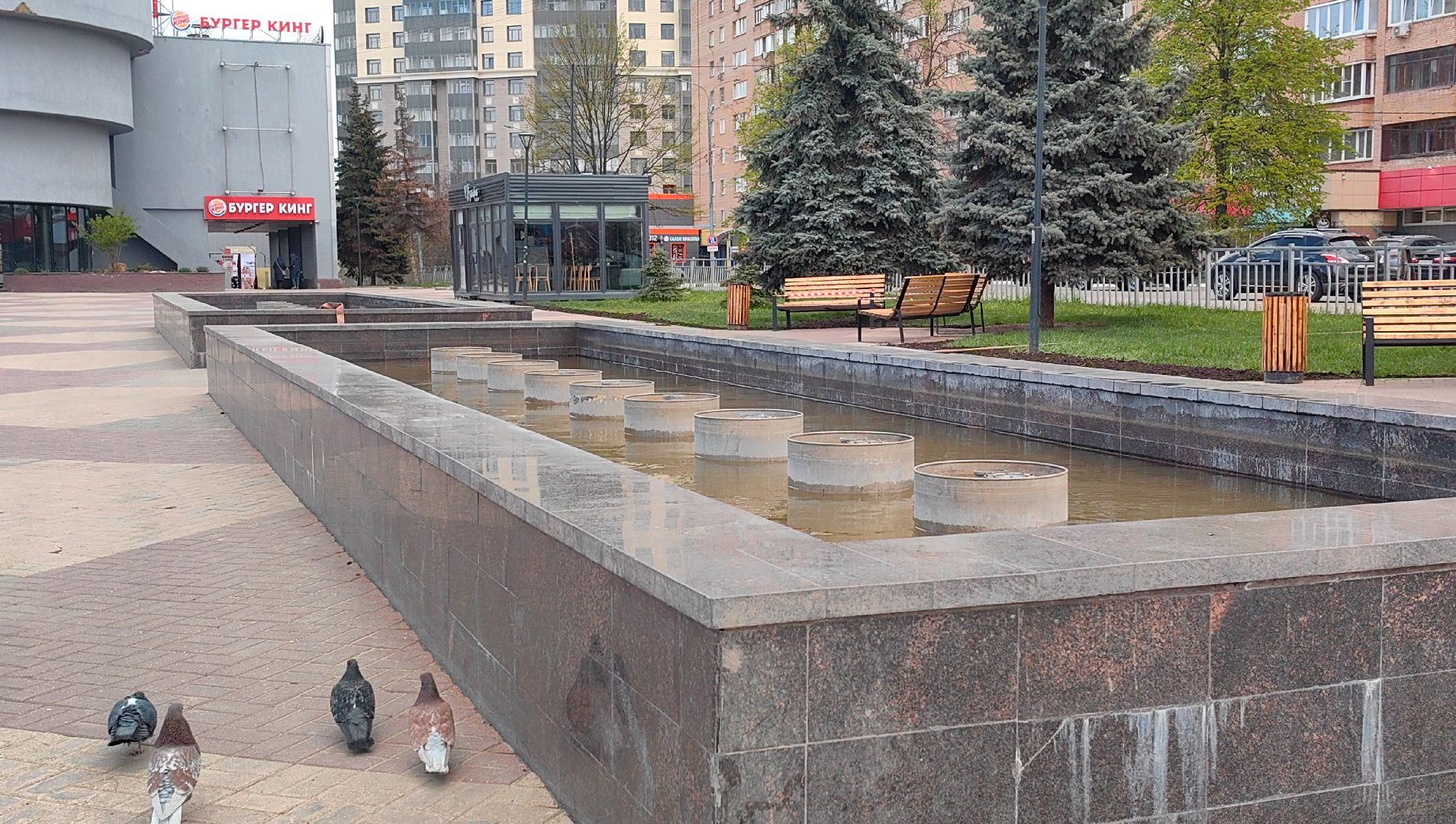 фонтаны, сезон, цветение,  техническое состояние,