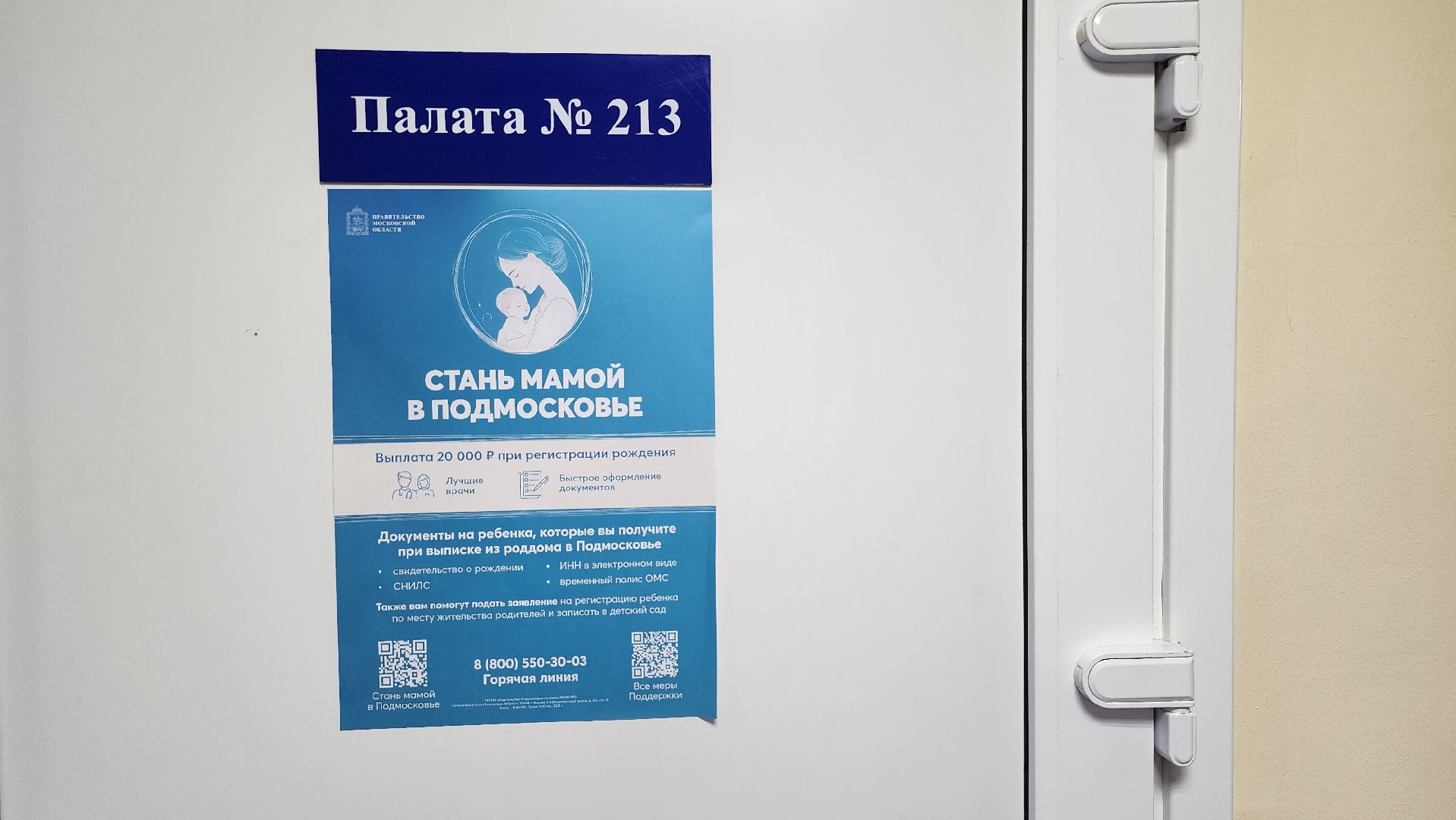 день открытых дверей, родильный дом, ногинская больница,  богородский городской округ,