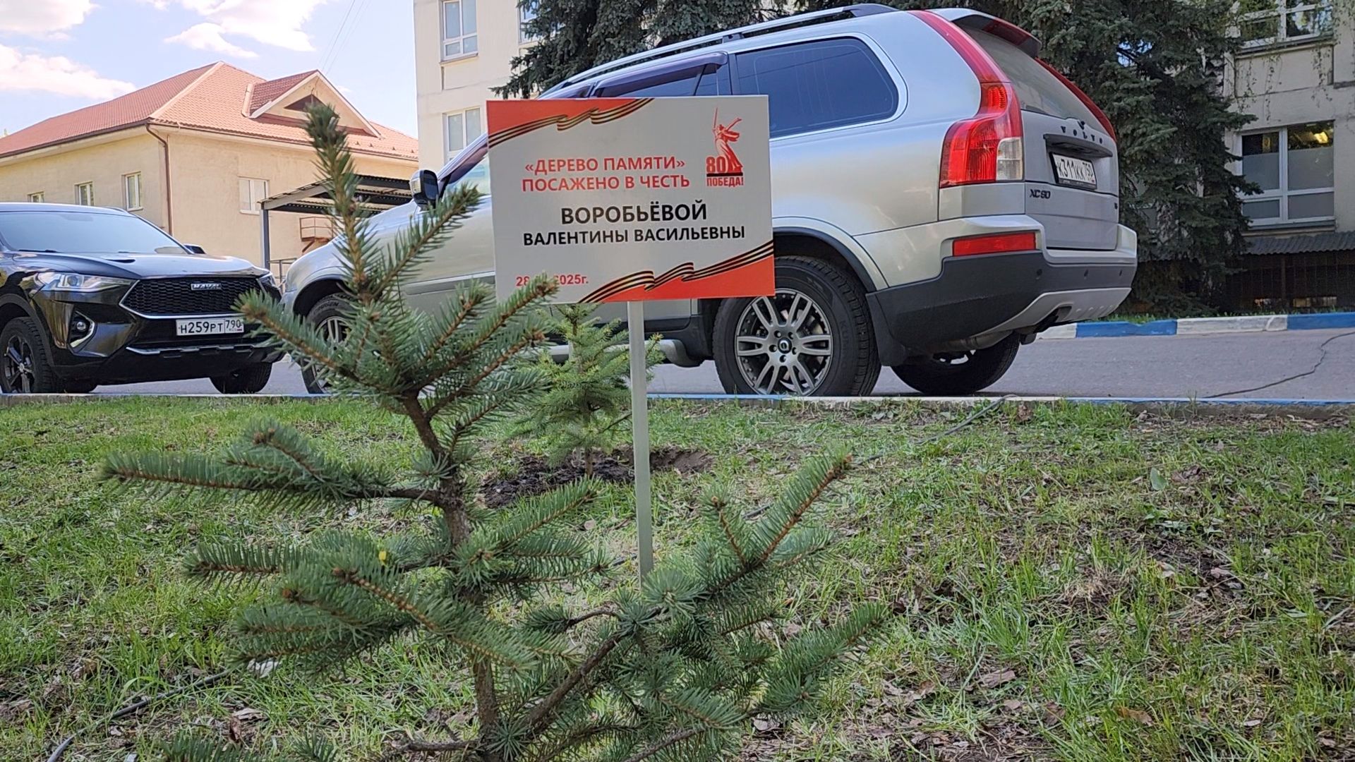 раменское, общество, аллея славы раменской больницы,