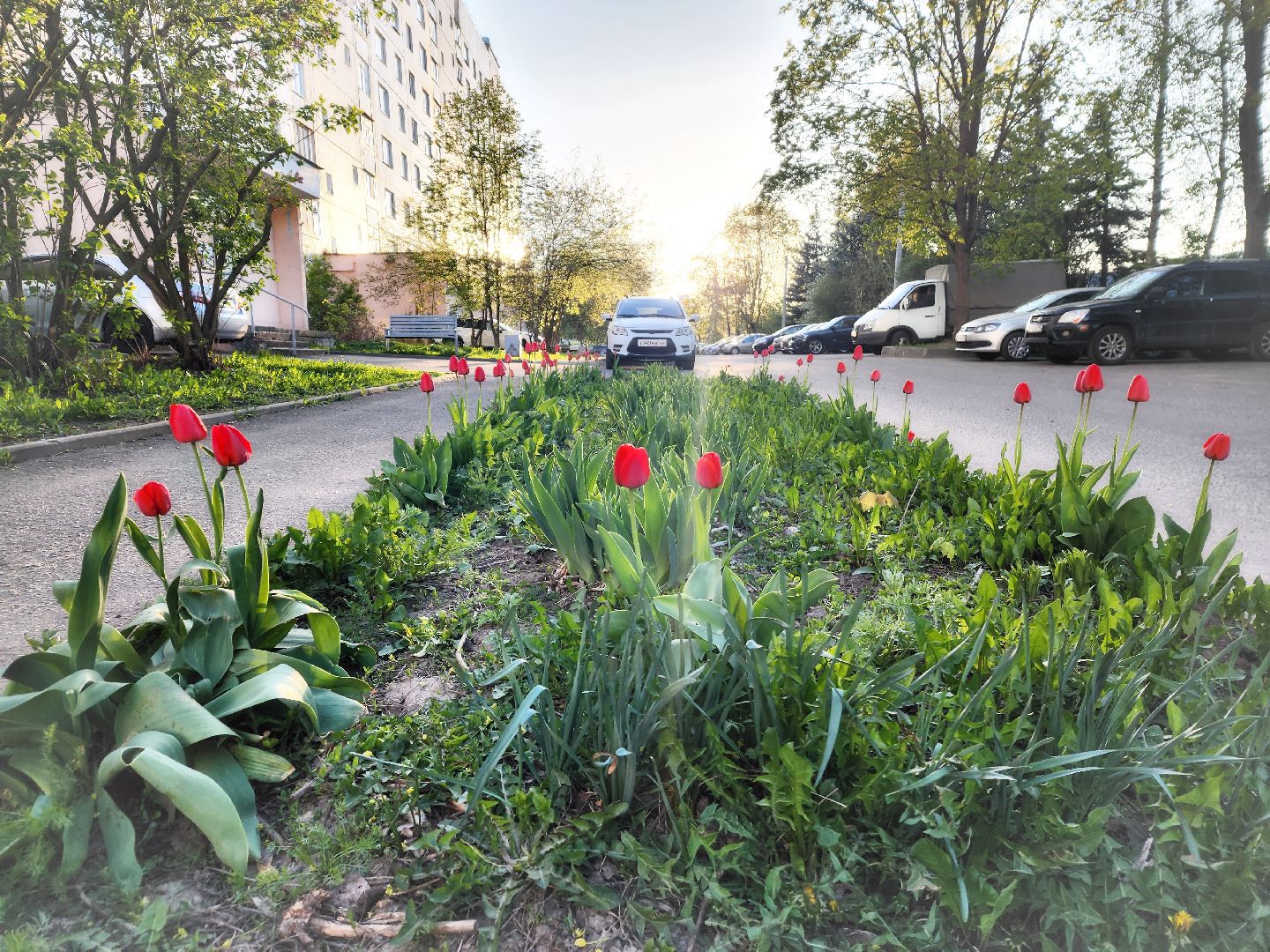 пущино, серпухов, благоустройство, месячник благоустройства,