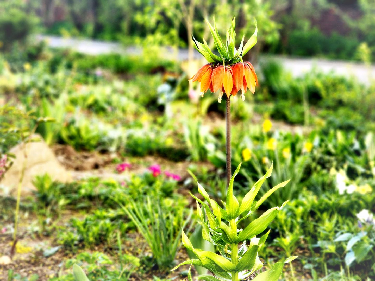 пущино, серпухов, благоустройство, месячник благоустройства,