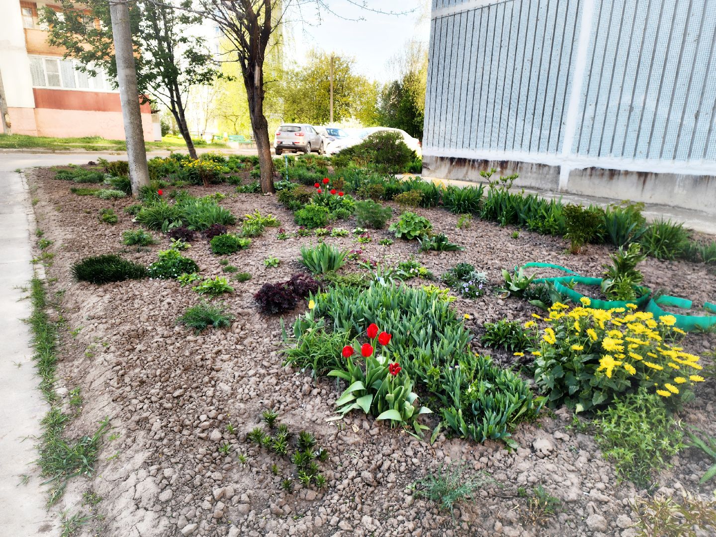 пущино, серпухов, благоустройство, месячник благоустройства,