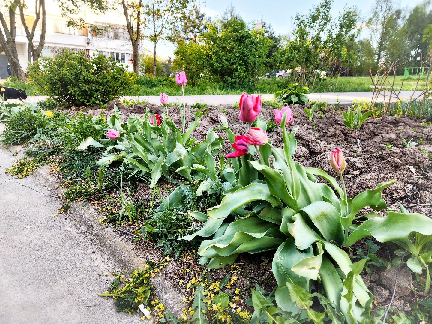 пущино, серпухов, благоустройство, месячник благоустройства,