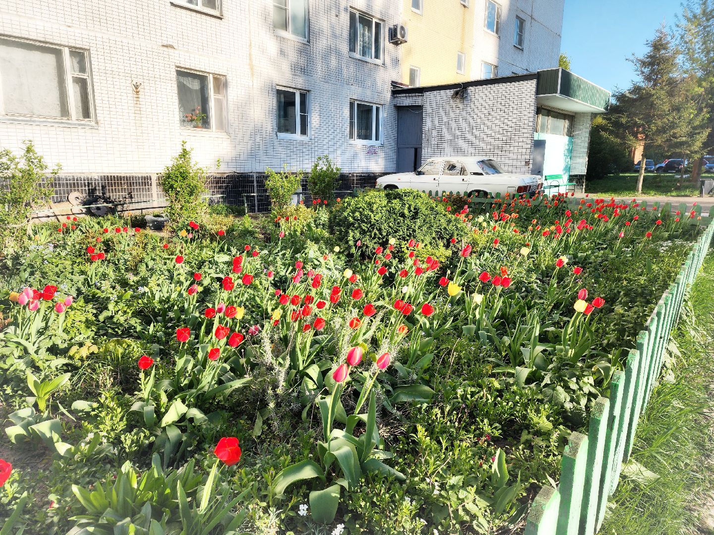 пущино, серпухов, благоустройство, месячник благоустройства,