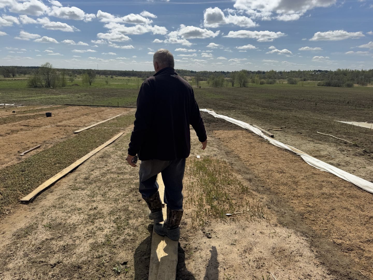 шаховская, кедры, кедры россии,