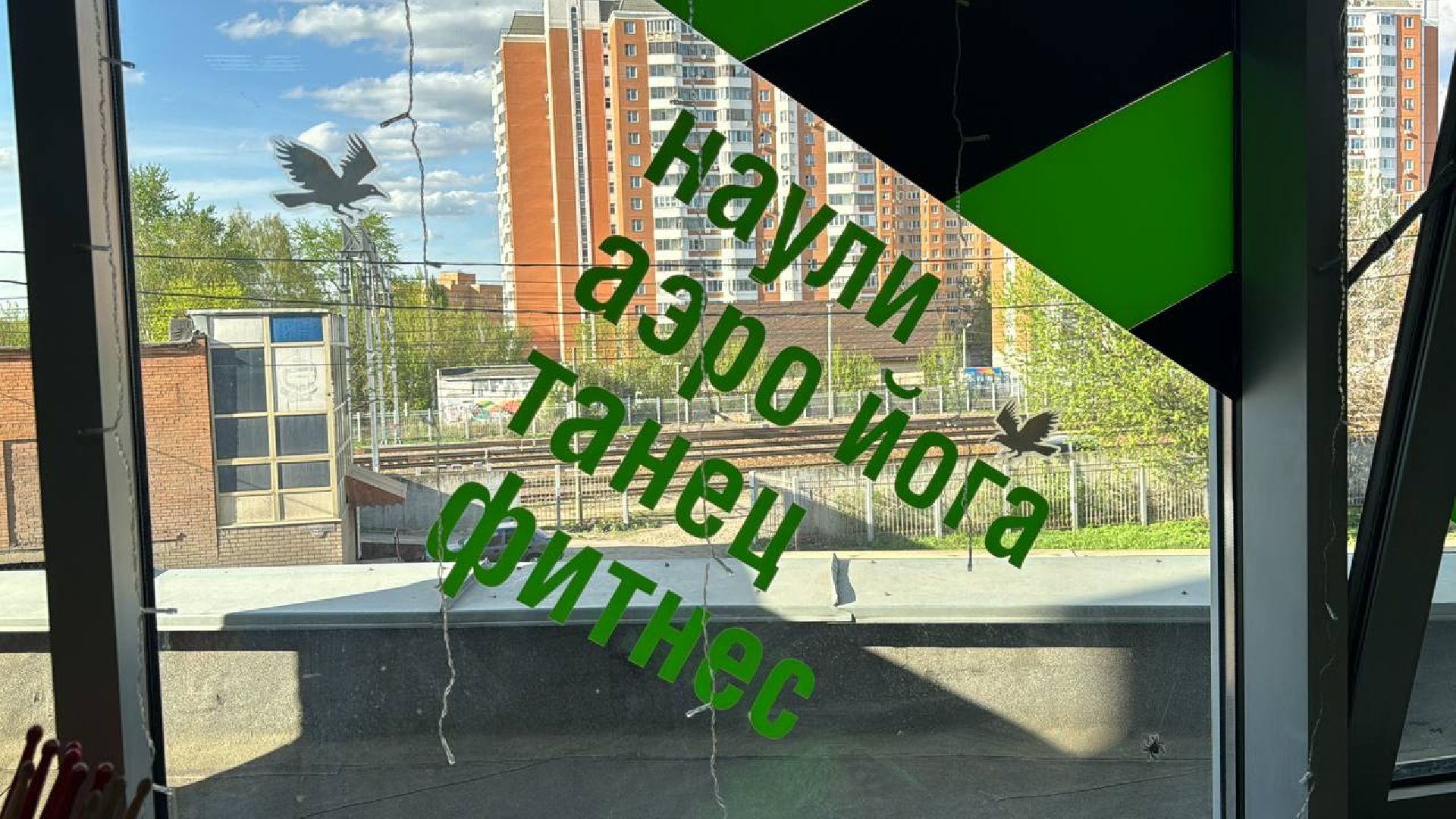 джампинг, тренер, обучение,