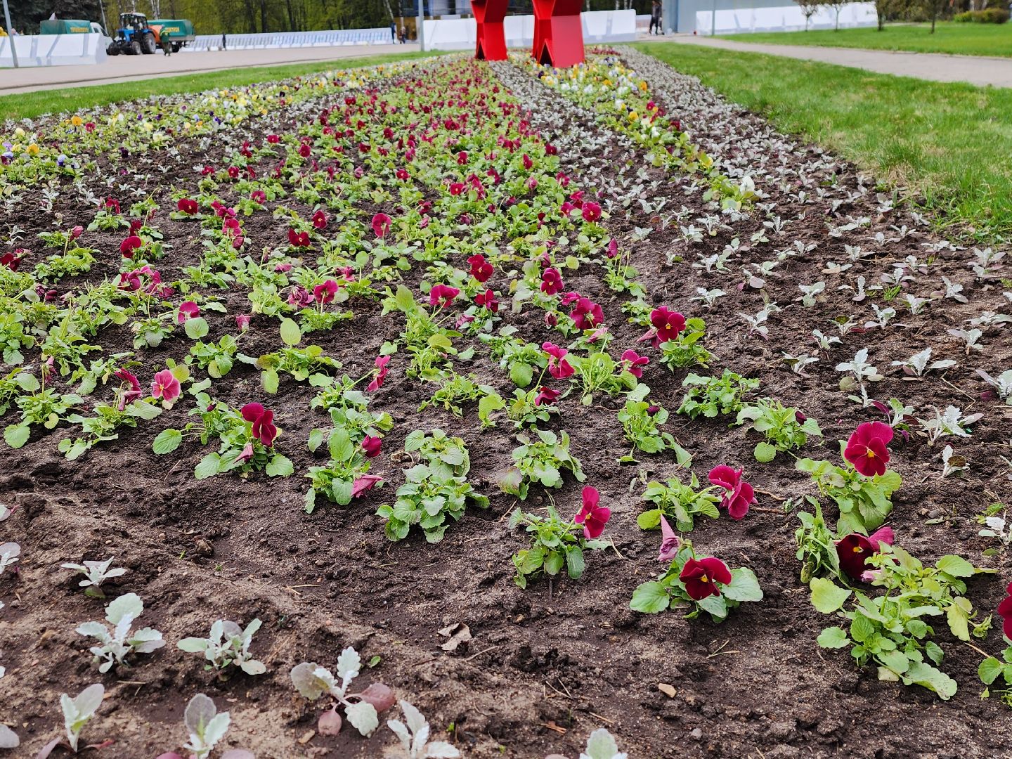 королёв, благоустройство в королеве, мемориал славы в королеве,