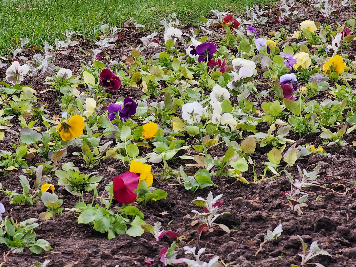 королёв, благоустройство в королеве, мемориал славы в королеве,