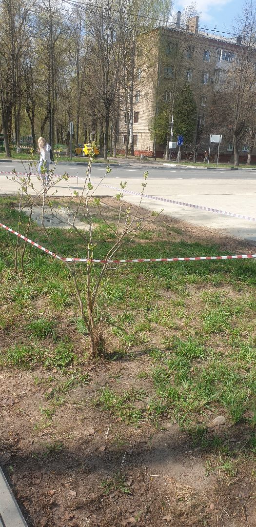 Долгопрудный, соцреклама, монитор