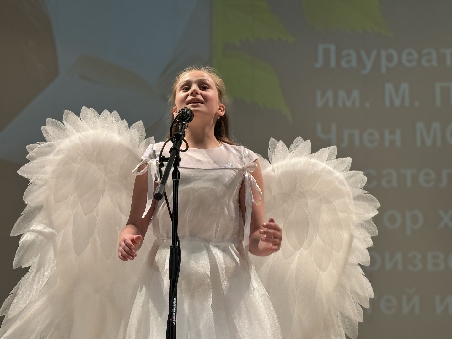 фестиваль-конкурс, зубовские чтения, ленинский городской округ, стихи о родине,