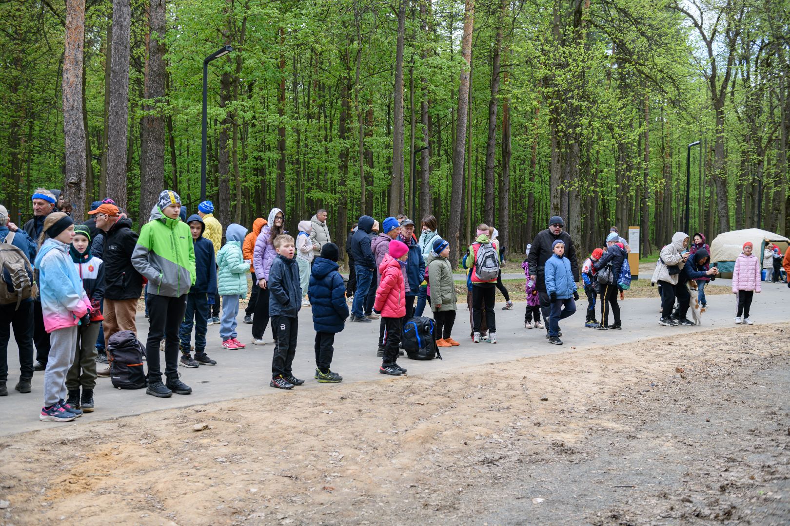 лыткарино, лесопарк волкуша, спорт, спортивное ориентирование, московский компас, общество,