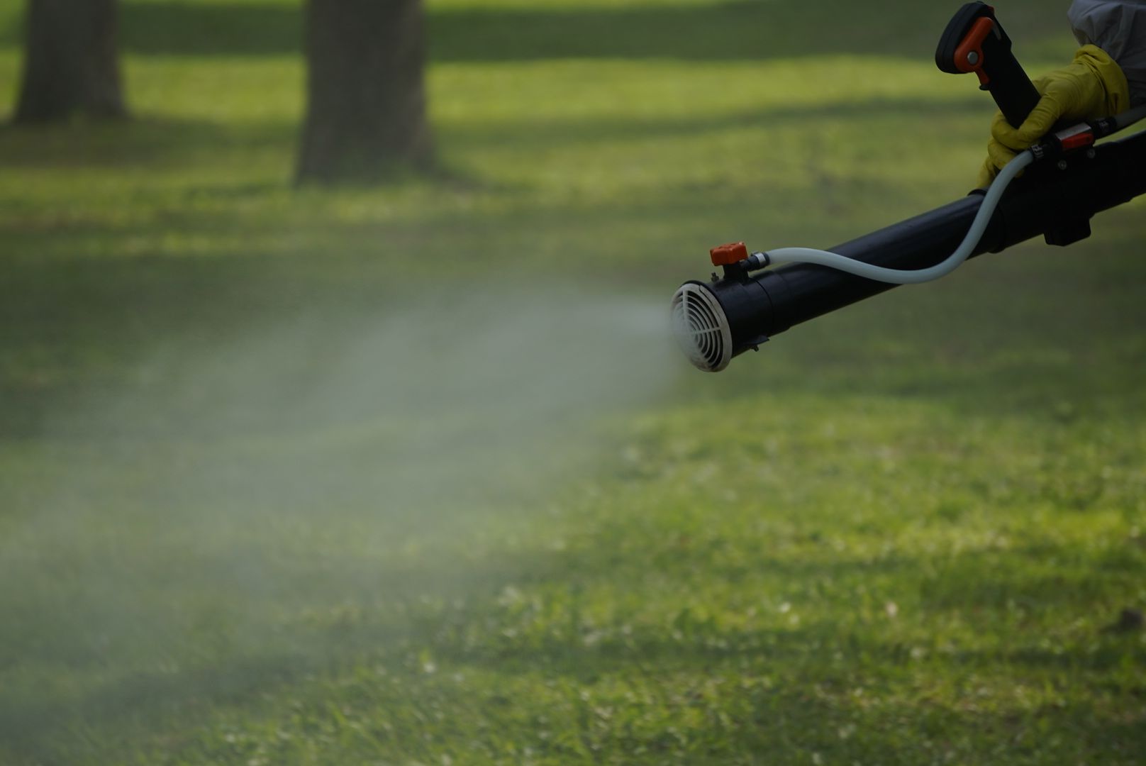 Павловский Посад , парки, обработка,