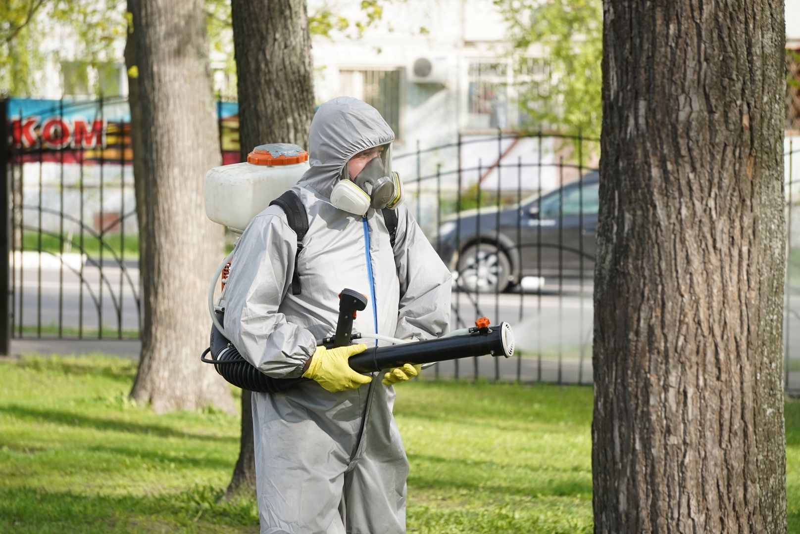 Павловский Посад , парки, обработка,