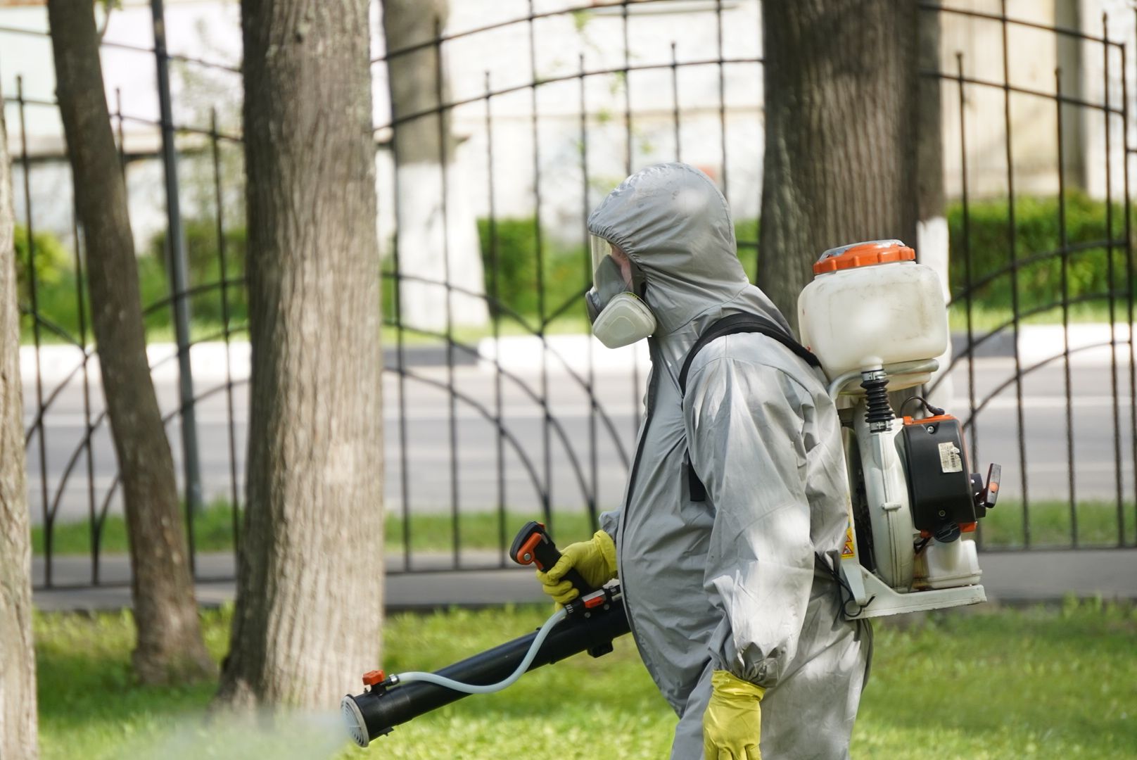 Павловский Посад , парки, обработка,