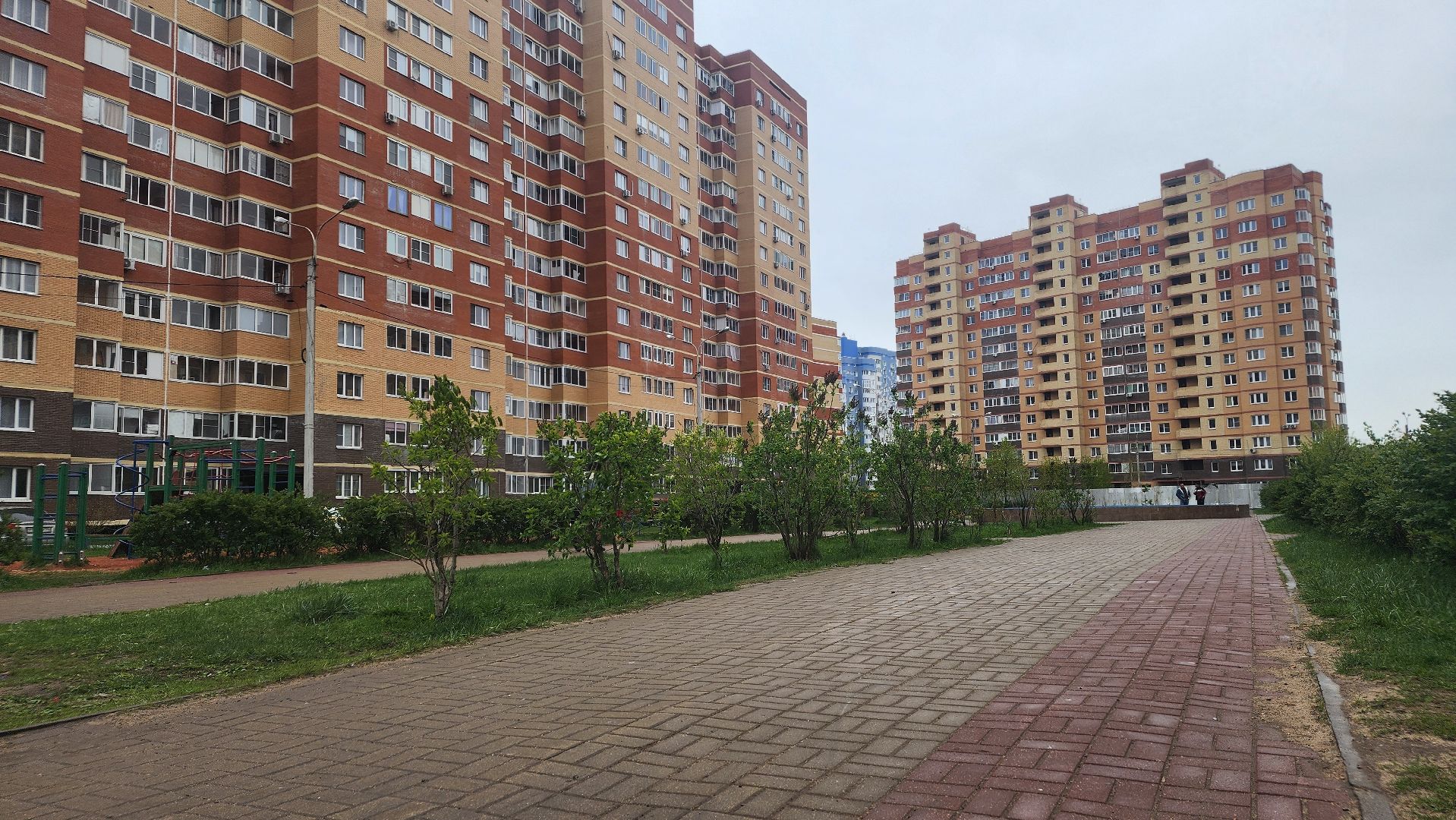 благоустройство, голосование за объекты благоустройства 2026, волонтры, Лосино-Петровский,