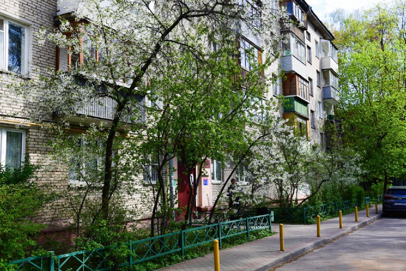 мытищи, ветеран,