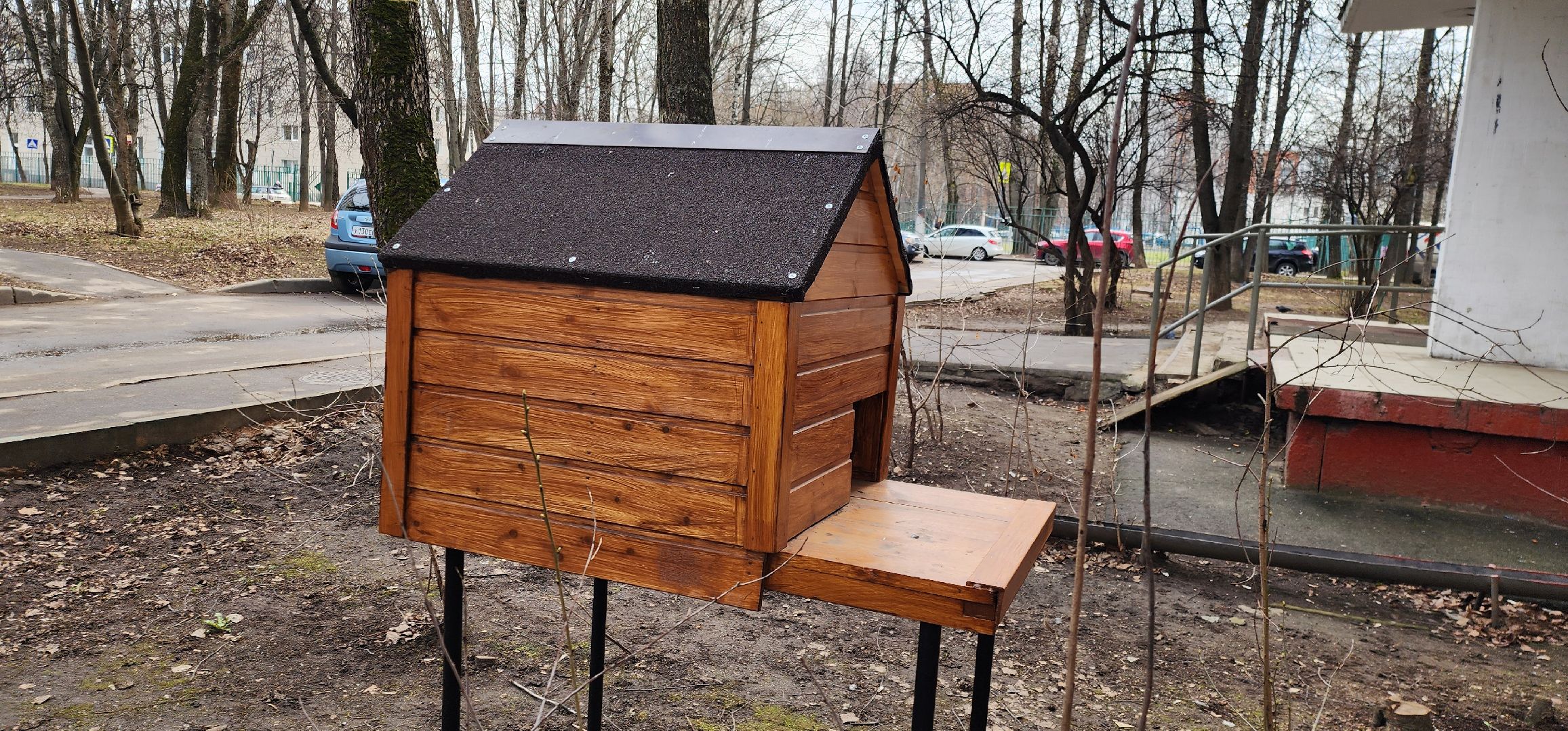 Химки, благоустройство, забота о животных,