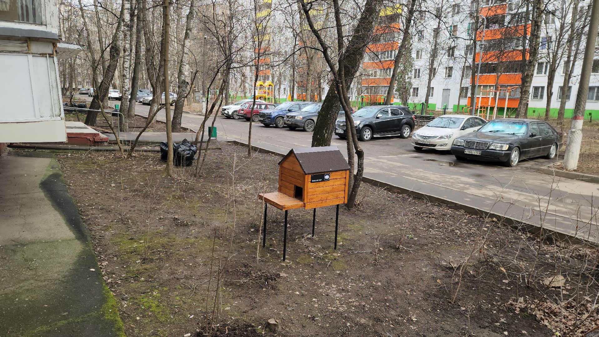 Химки, благоустройство, забота о животных,